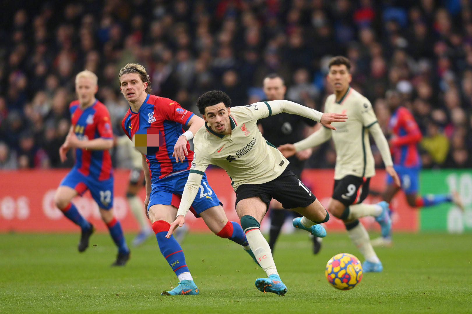 带来更多的 带来更多的